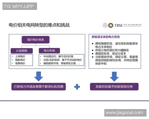 杭州排球队的战术创新与运营体系探讨及其对竞技水平的提升