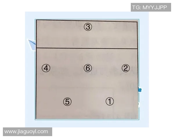 杭州排球队技术解析：从基础到战术的全面剖析与提升策略